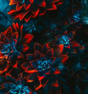 freelance artist floral 4